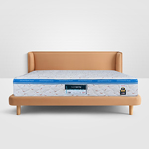 Superfoam SSOPB05 Orthopedic plus 5*6*11