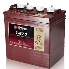 Trojan T-875 – 170Ah,8V Battery