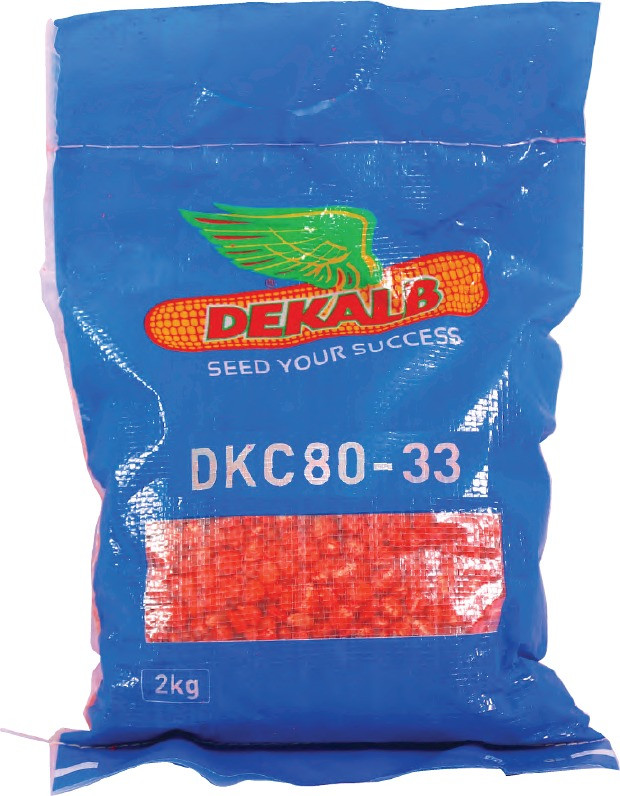Deekalb DK8033 Maize Seeds 2 kg