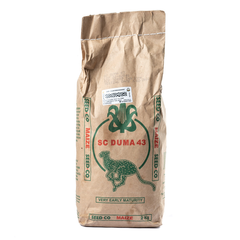 SC Duma 43 Maize Seed 2kg